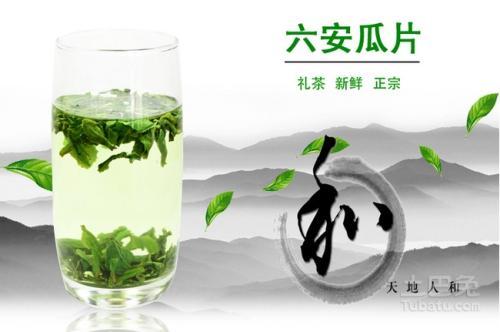 安徽瓜片簡(jiǎn)筆畫